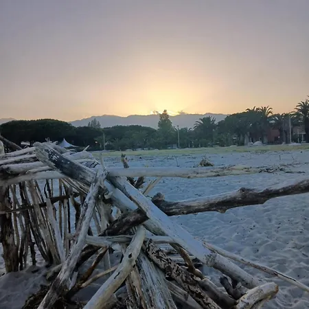 Ghiso'lodge جيزنوكسيا